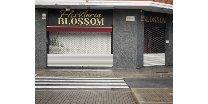 FLORISTERIA BLOSSOM FLORISTERIA BLOSSOM